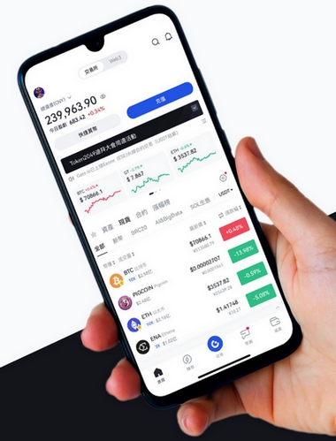 Valley Insightleap - Como o aplicativo Valley Insightleap aprimora sua negociação?
